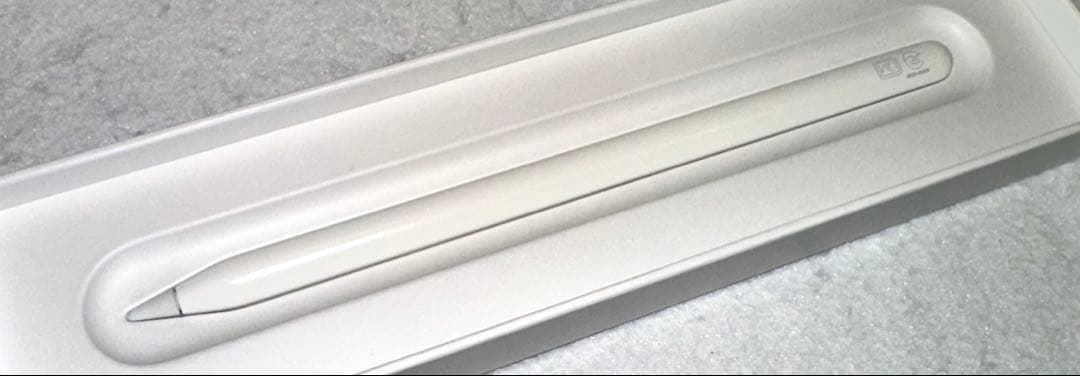 iPad mini6 Wi-Fi 64GB スペースグレイ＋付属品