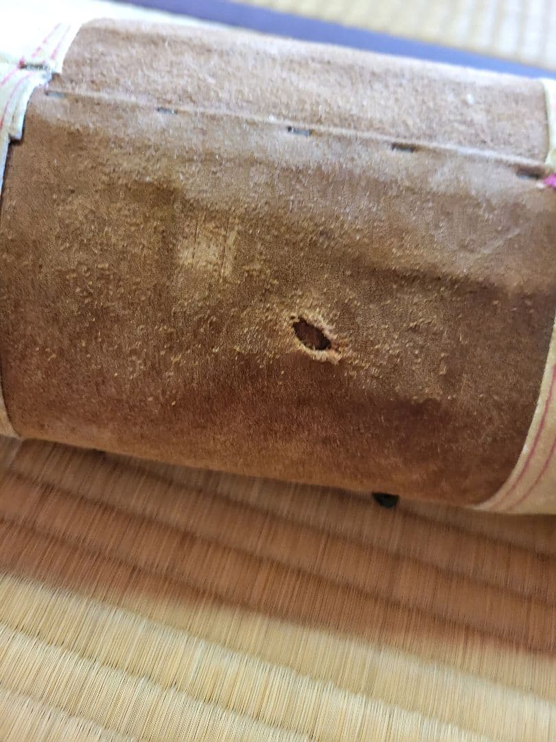 し*☆様 水牛の角　インテリア　186cm送料込み‼️