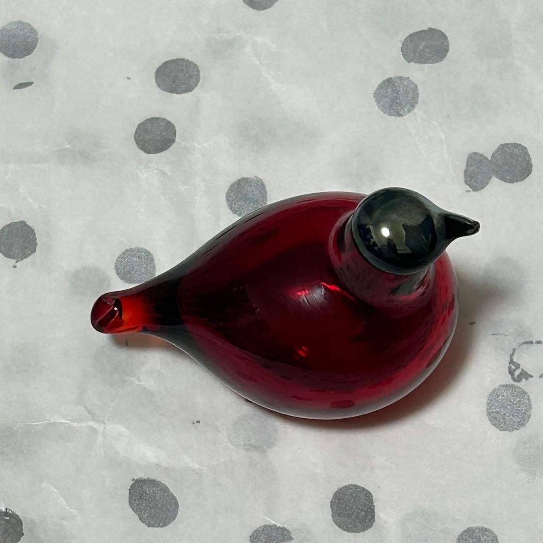 nuutajarvi＊GoldenCrestedKinglet＊オイバトイッカ