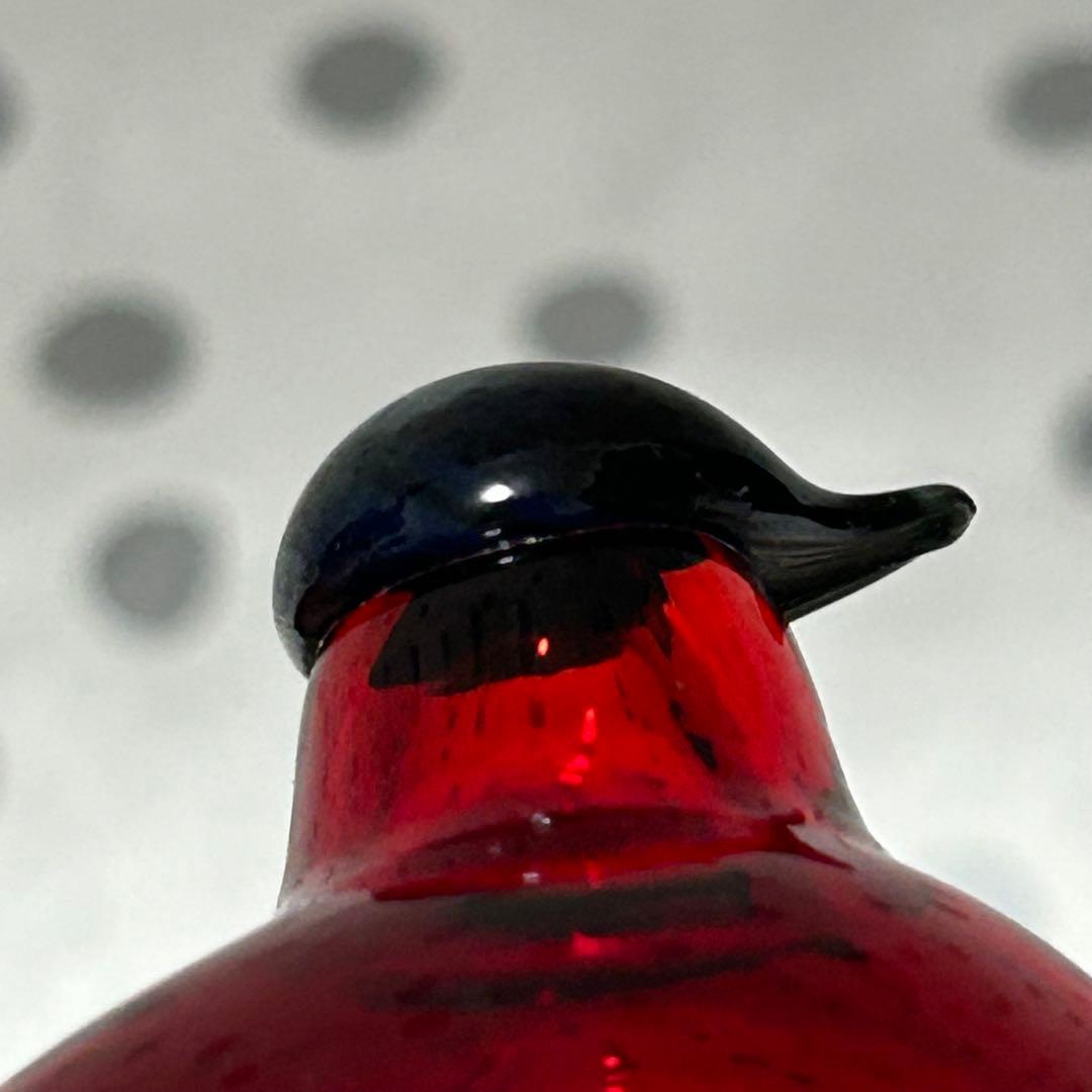 nuutajarvi＊GoldenCrestedKinglet＊オイバトイッカ