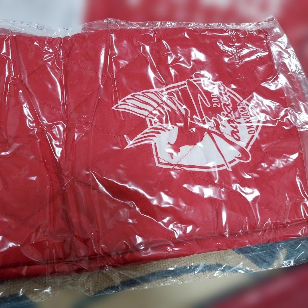 ファジアーノシーズンパス特典　マフラー他