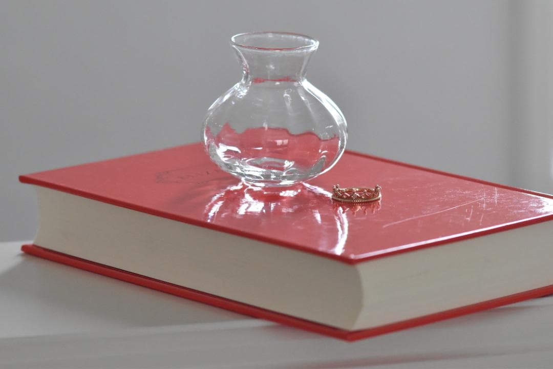 Nikon F2 ダブルレンズ