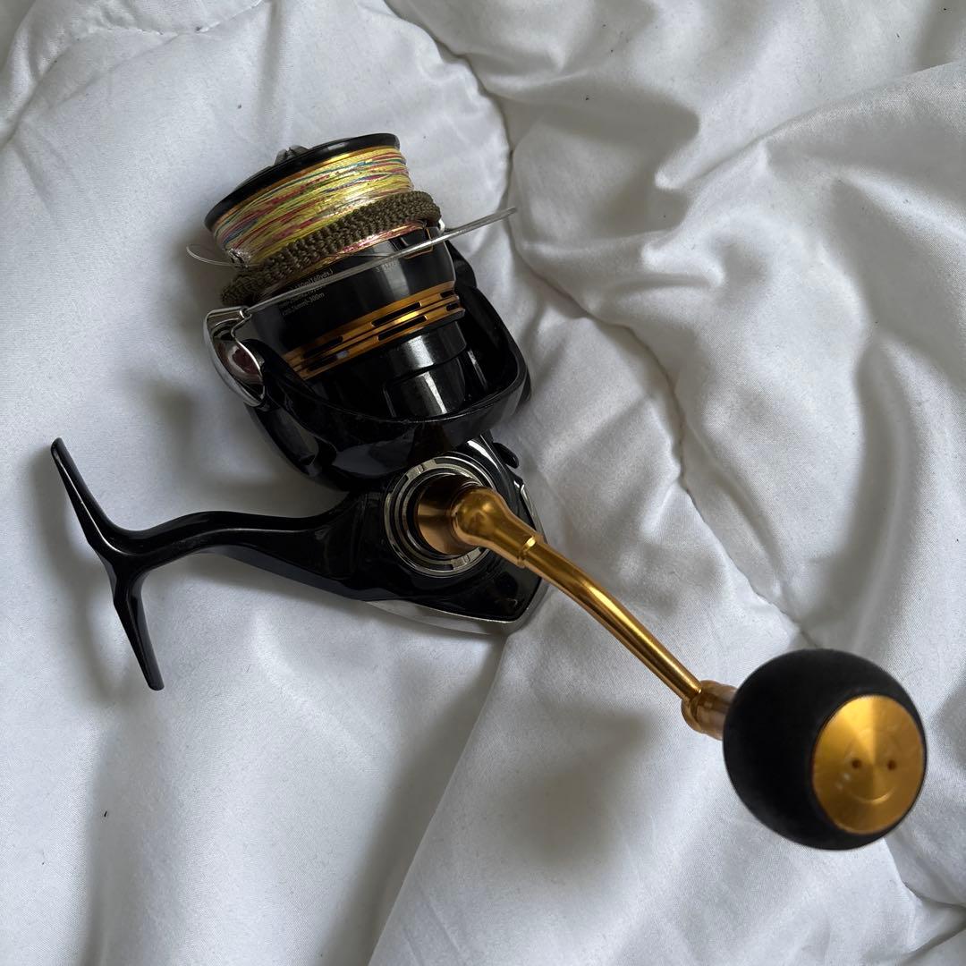 ソルパラ1002H レガリス6000D-H セット