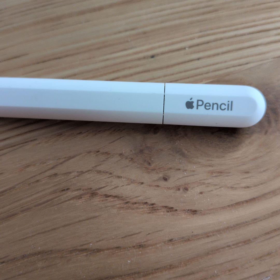 Apple Pencil ホワイトUSB-C