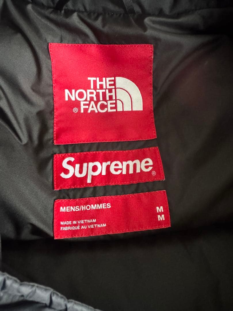 Supreme×NORTH FACE 自由の女神 バルトロライトジャケット/M