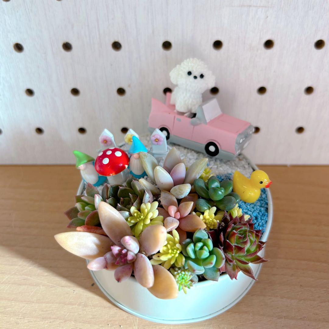 メルカリ便♫多肉植物寄せ植え♫そのまま飾れる♫わんちゃんクリスマスセット