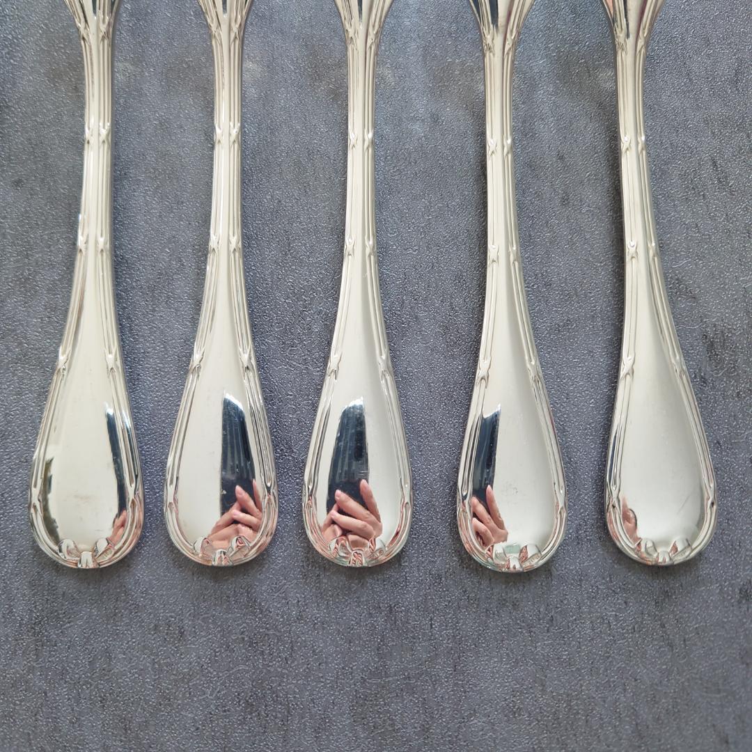 希少 クリストフル リュバン デザートサイズ 10点