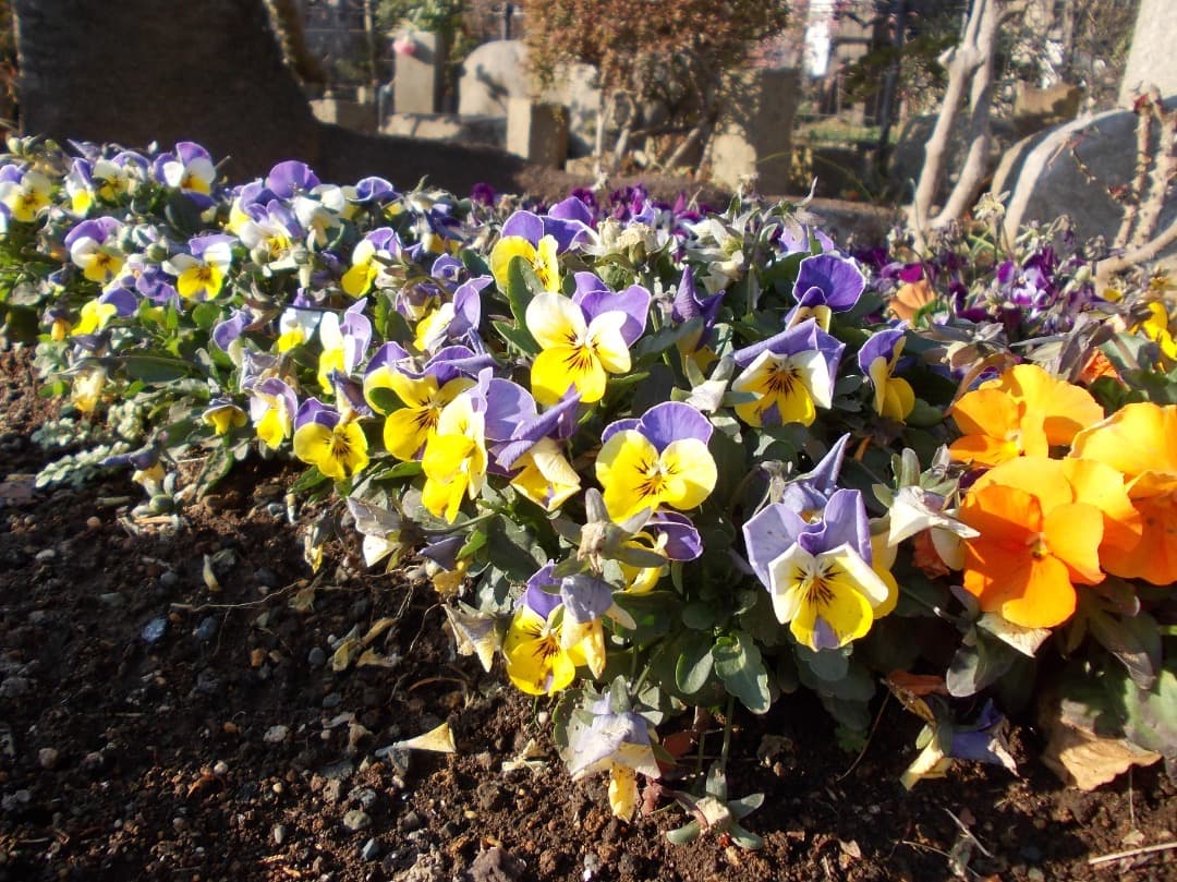 実写美⭕️【動作確認済】Nikon COOLPIX L23 シルバー