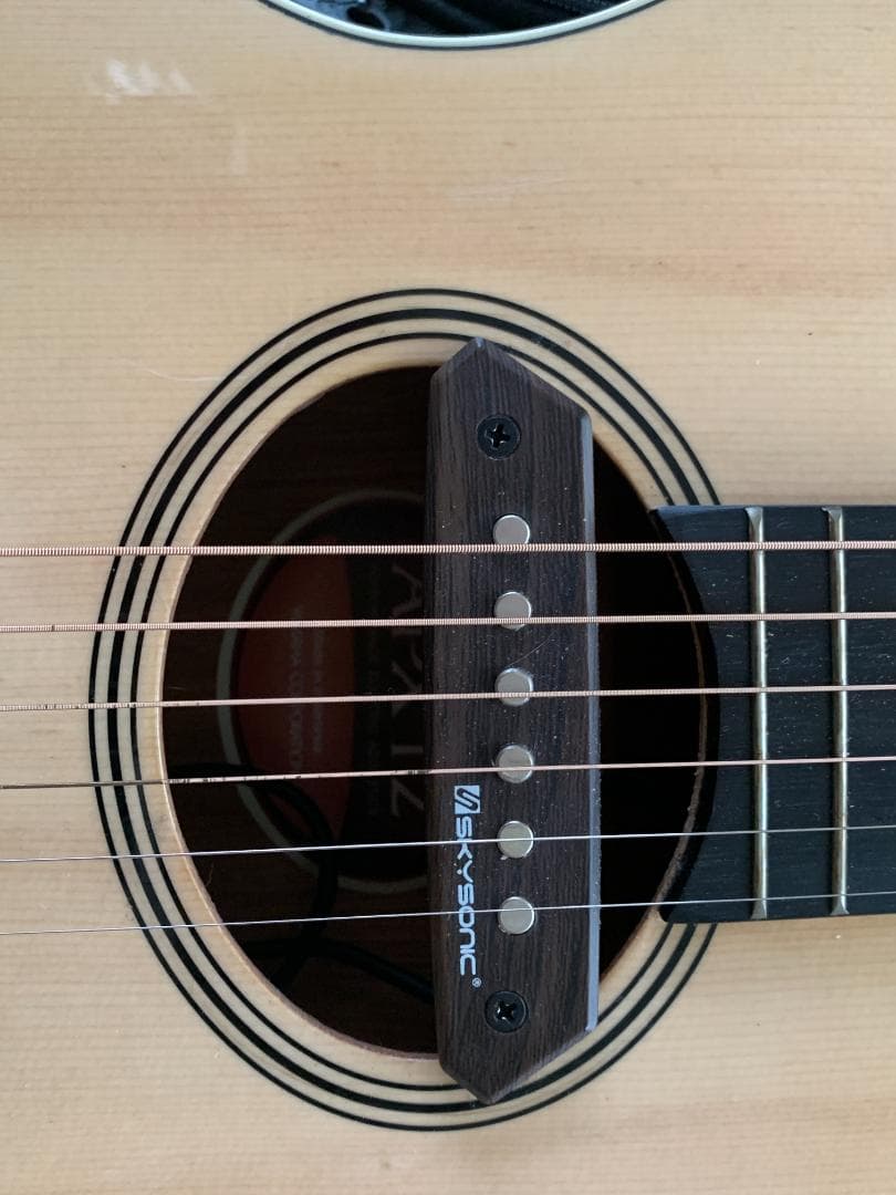 YAMAHA ヤマハ APXT2 エレアコ