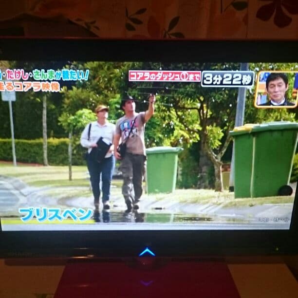 19型 ピンク テレビ 地デジ