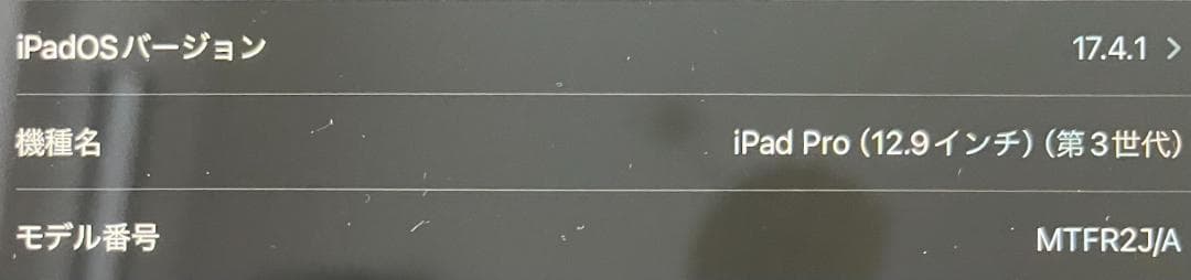 iPad Pro 12.9インチ(第3世代)｜バッテリー最大容量88%・ケース付