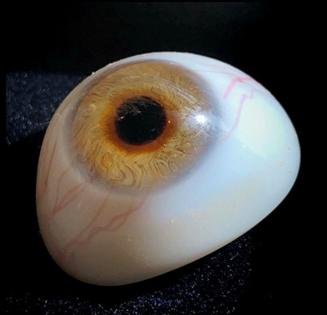 義眼　ドイツ　ラウシャ