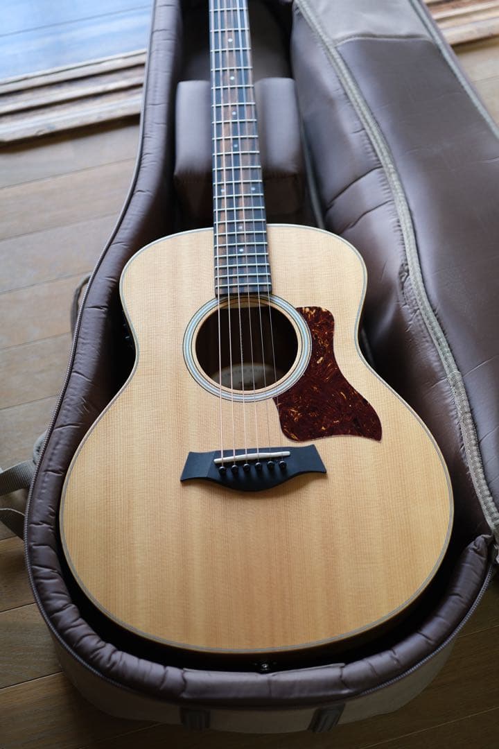 Taylor LTD GS Mini 限定モデル