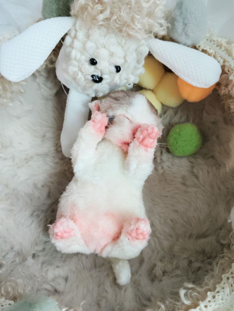 ママ募集❤生後１日子猫ちゃん♡バスケットとクマたん♡アートドール♡ぬいぐるみ♡