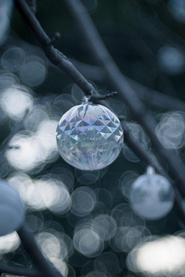 棚卸SALE！Trioplan 100mm F2.8 Leica Mマウント