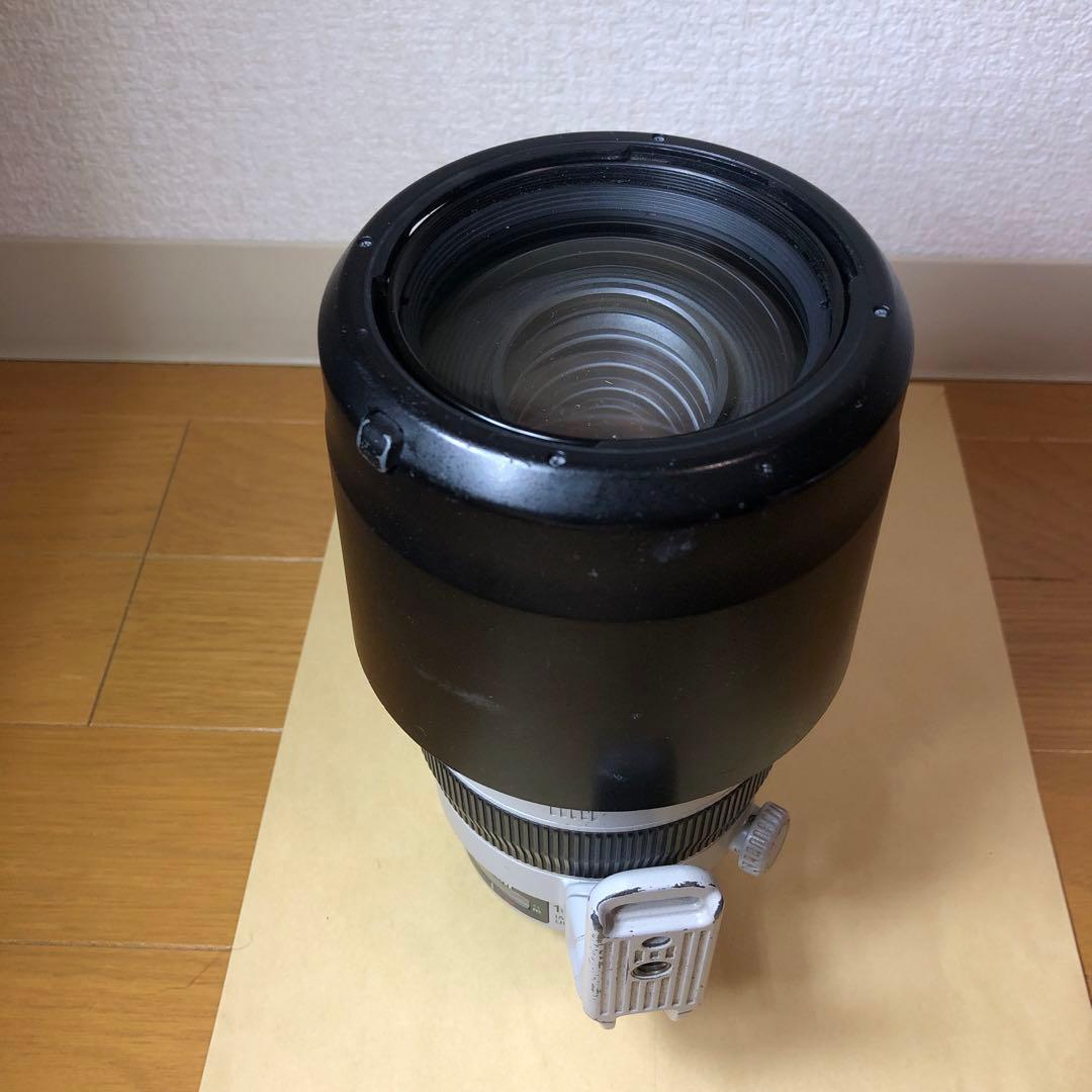 CANON キヤノン EF 100-400mm F4.5-5.6L IS II
