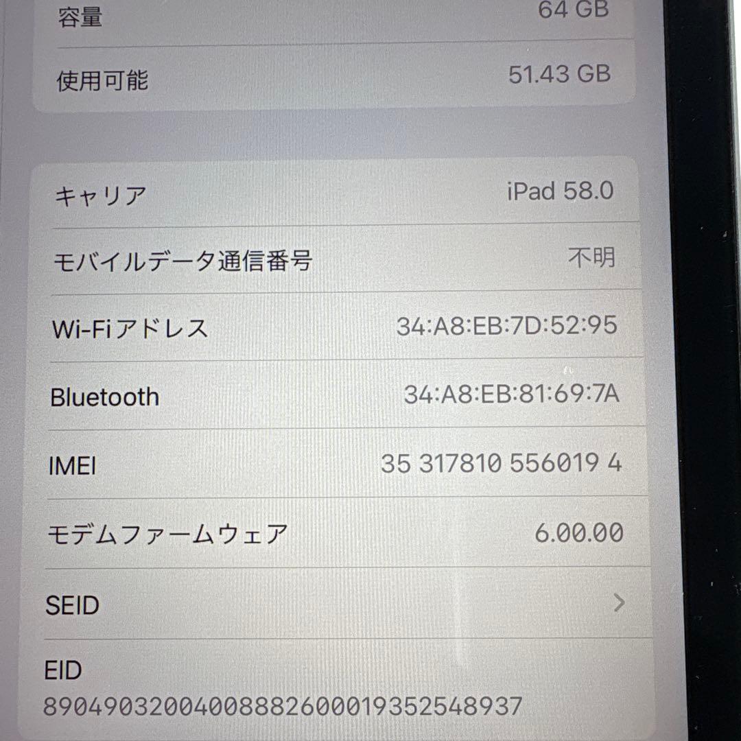 【美品】iPad mini5 Wi-Fi+Cellular モデル64GB(5)