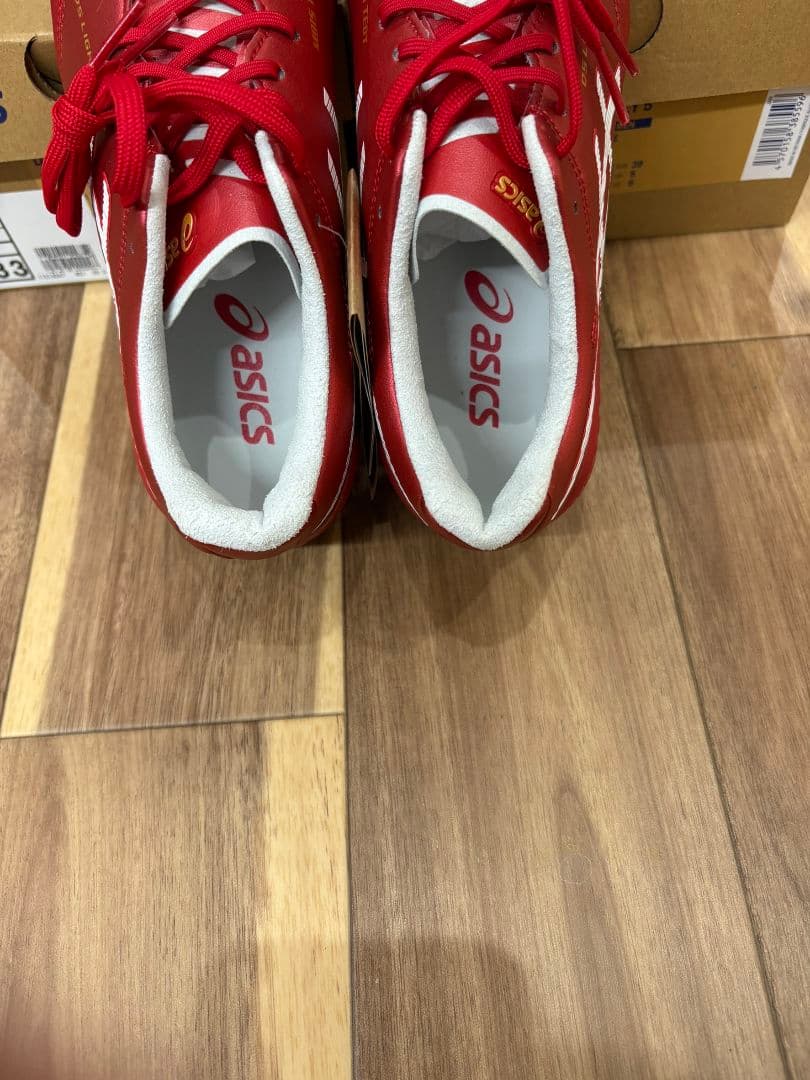 アシックスdsライトエックスフライ5 右足25.0cm左24.5cm