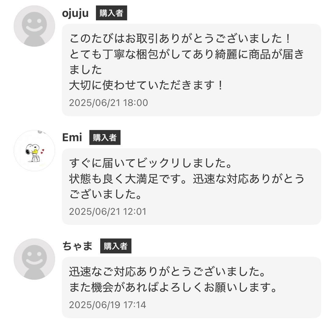 シャトーラギオール ソムリエナイフ レザーケース付き