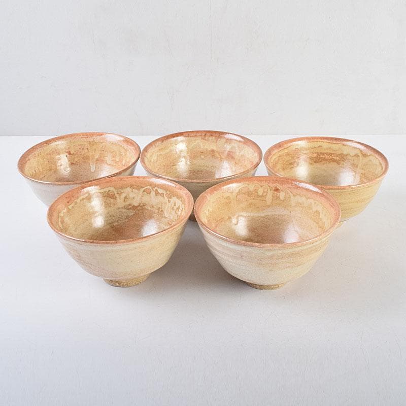 瀬戸焼　杉浦芳樹造　数茶碗　十客　堀内宗完（兼中斎）極め箱　M　R9292H