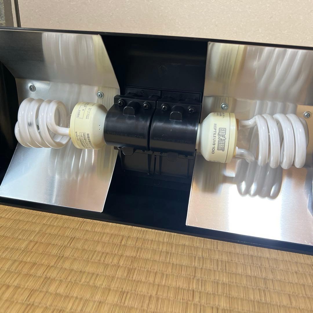 グラステラリウム セット