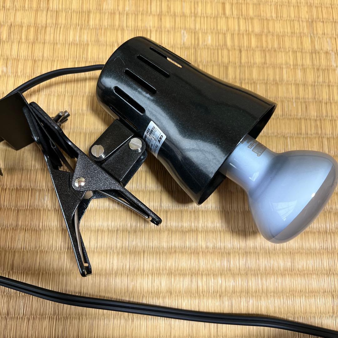 グラステラリウム セット