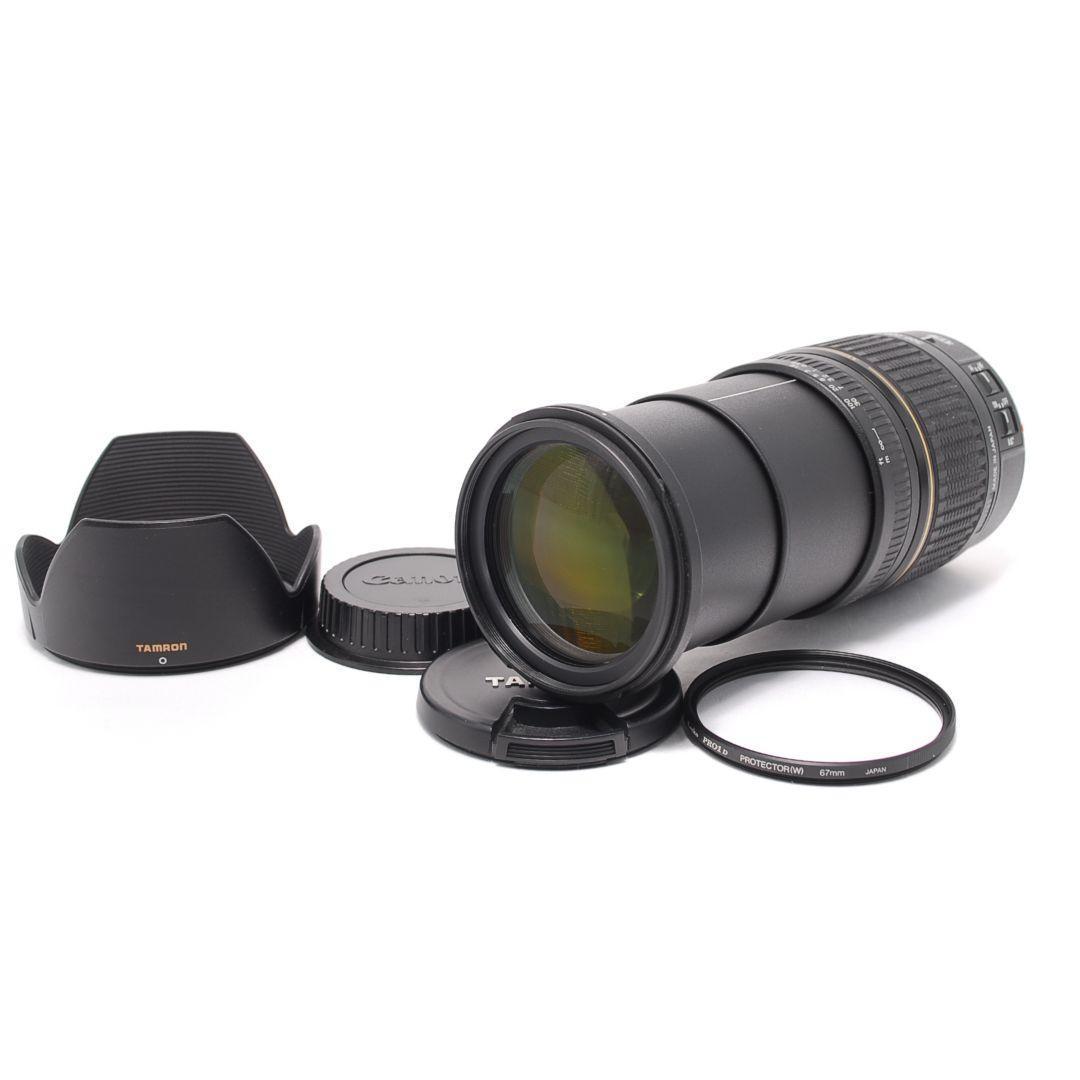 ❤即購入1000円OFF❤ タムロン 28-300mm 手振れ補正 Canon