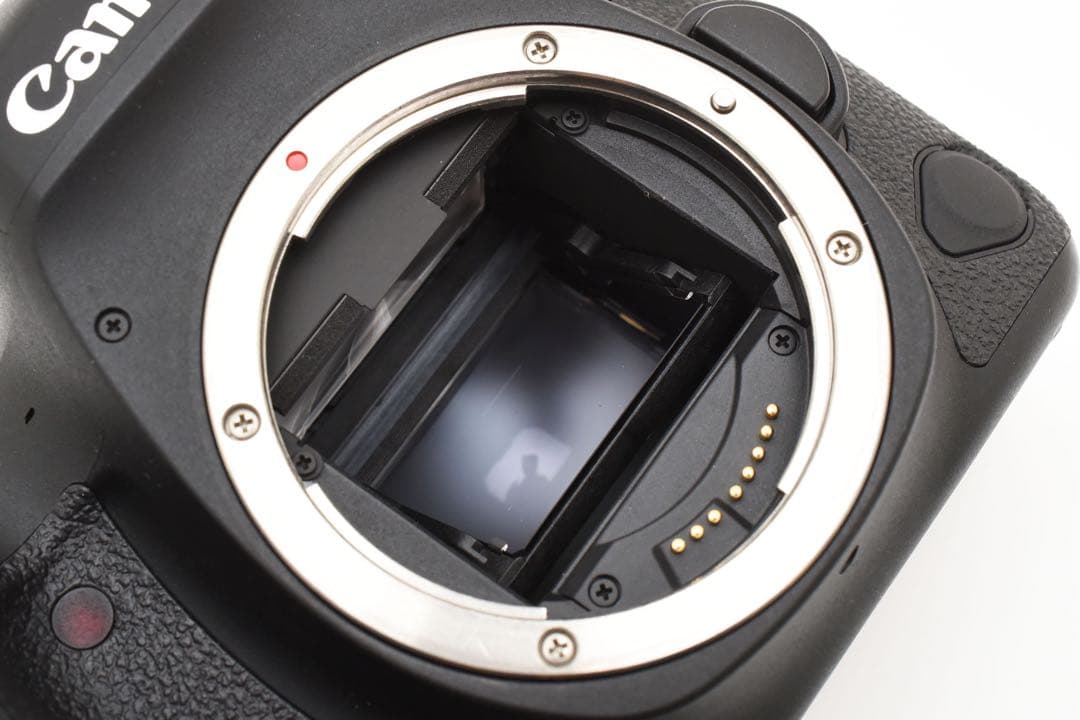 Canon EOS 6D mark II標準&望遠&単焦点レンズセット