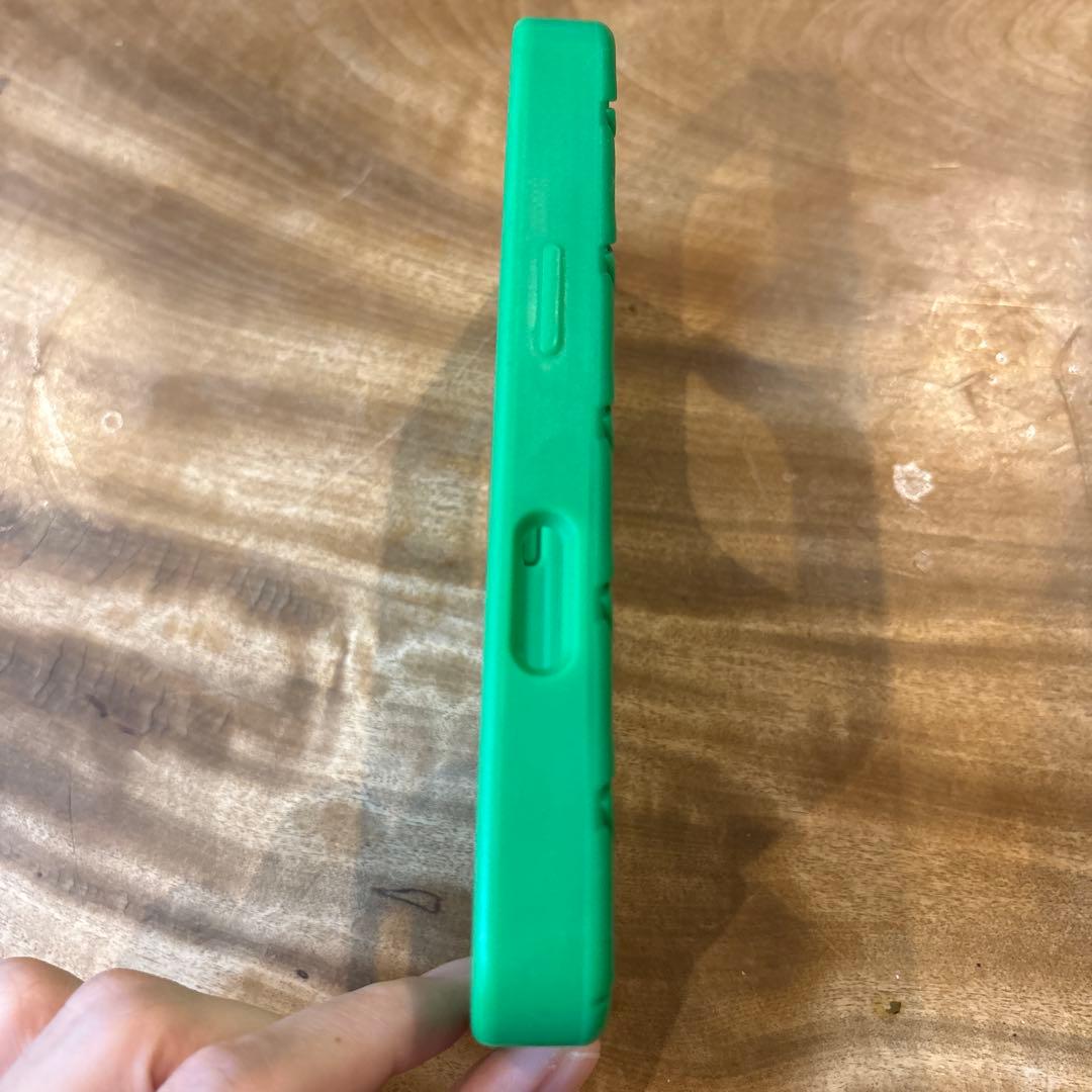 Bottega Veneta パラキート iPhone 16 pro ケース