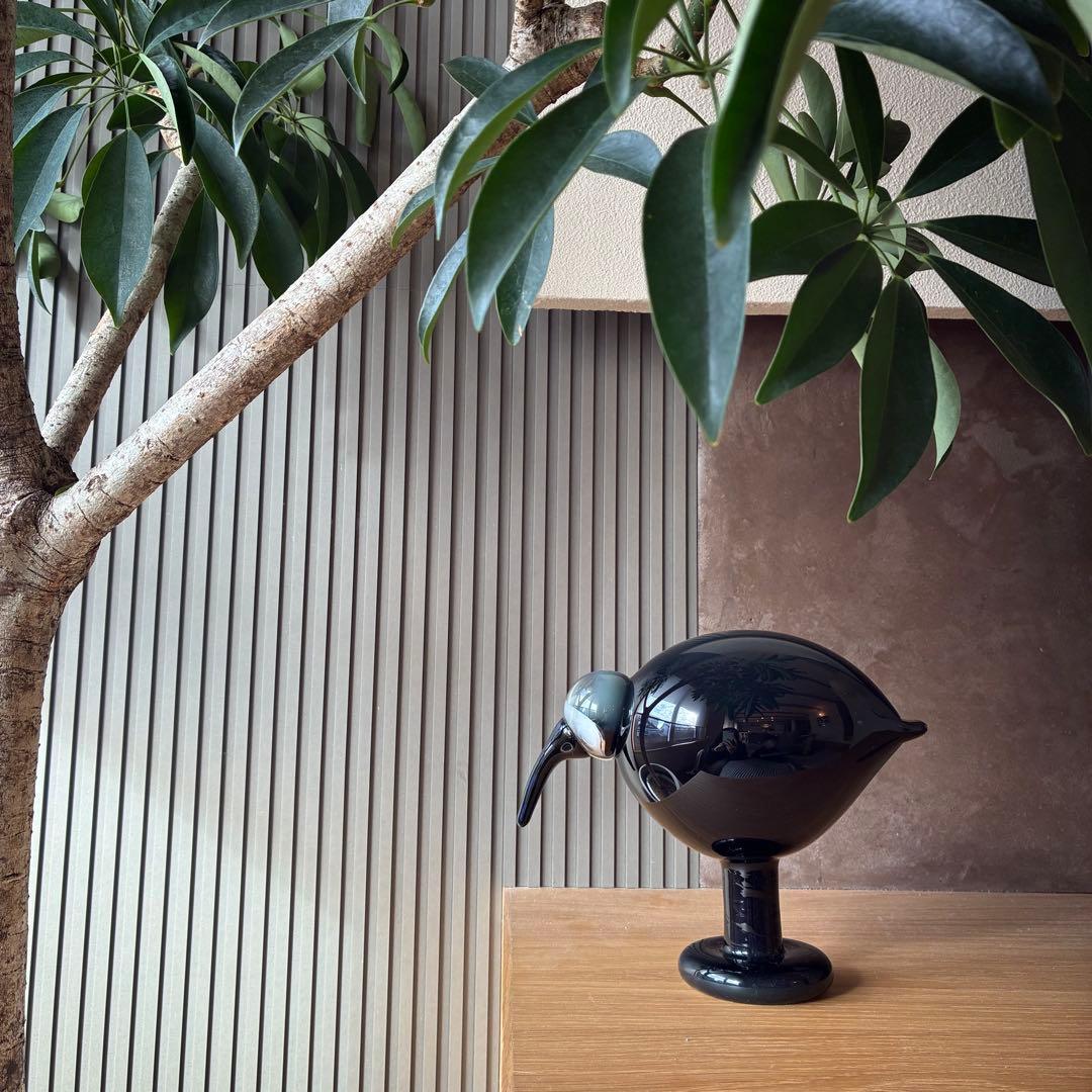 【極美品】イッタラ　バード　バイトイッカ Ibis アイビス　トキ ダークグレー