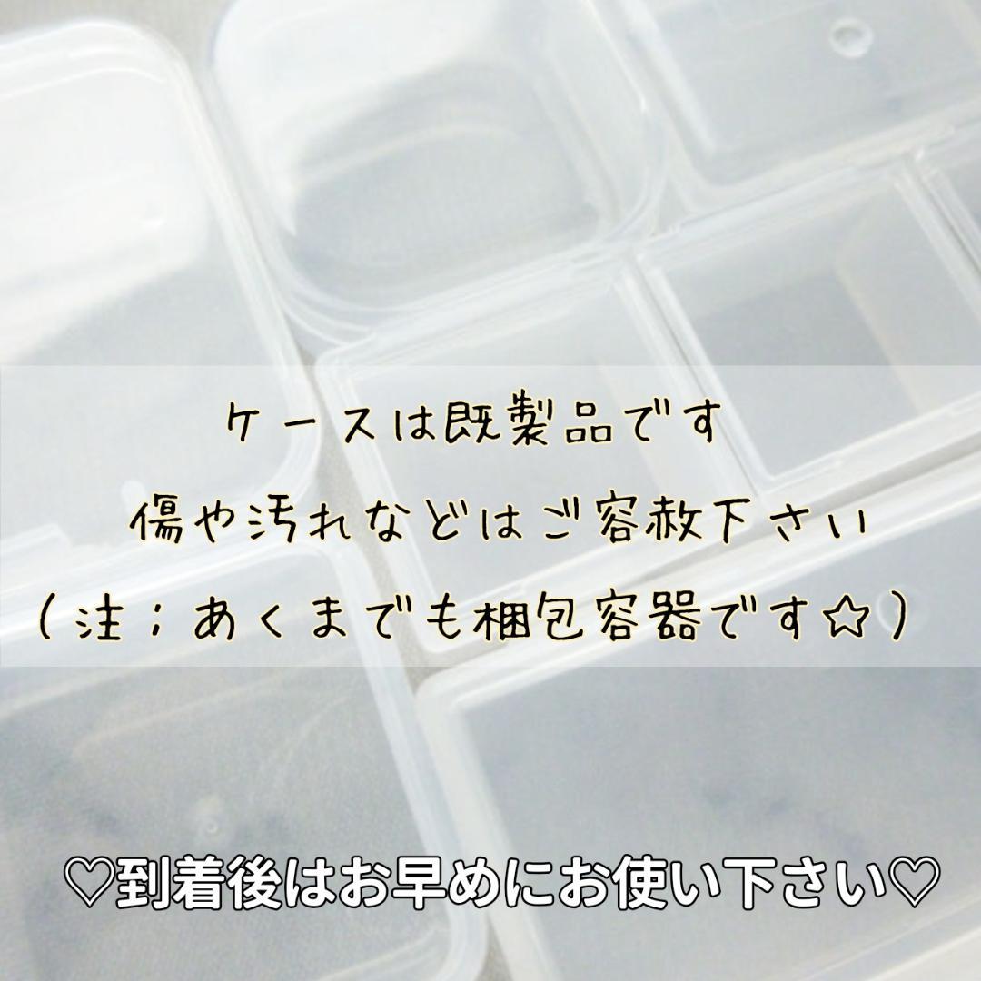 にゃーにゃ様◆【ドライフラワー】かすみ草の蕾 着色（847 レジン ）