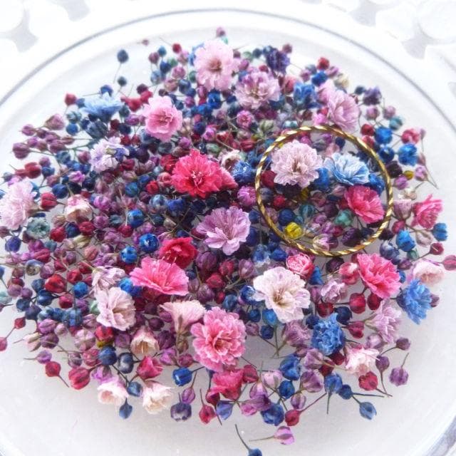 にゃーにゃ様◆【ドライフラワー】かすみ草の蕾 着色（847 レジン ）