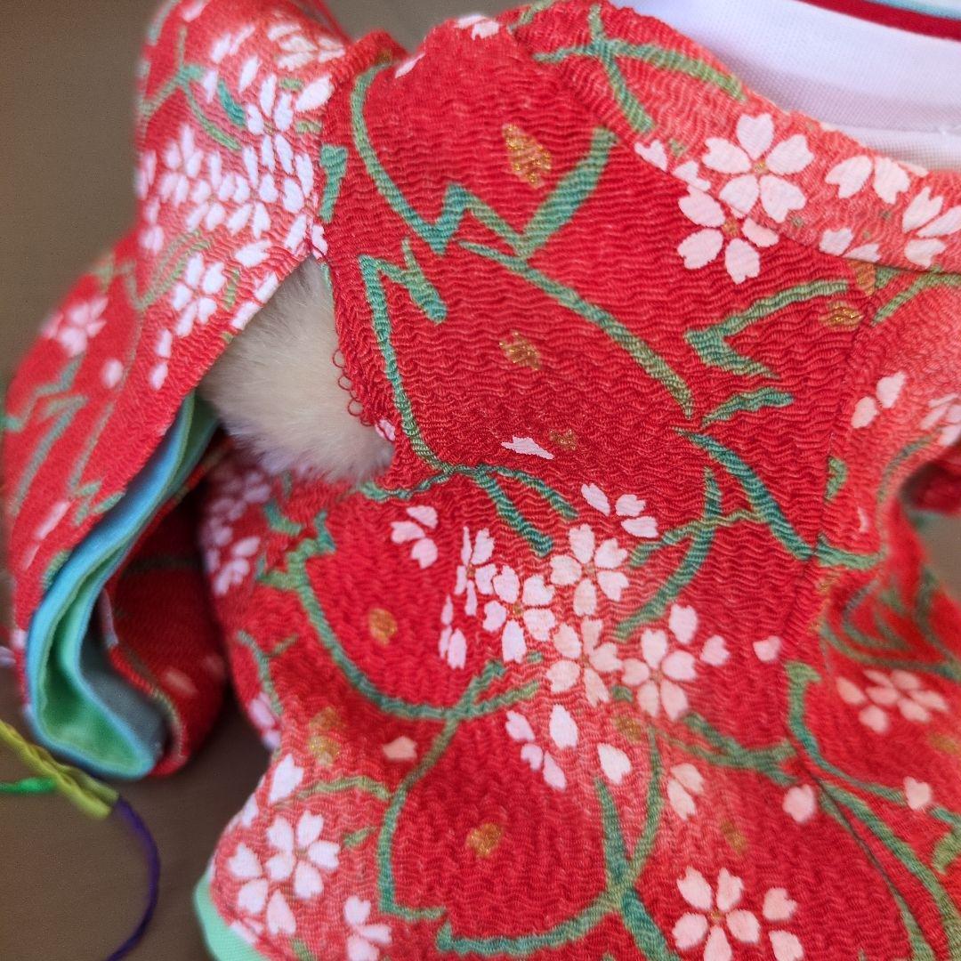 シュタイフひな人形テディベア シリアルナンバー入り 2015