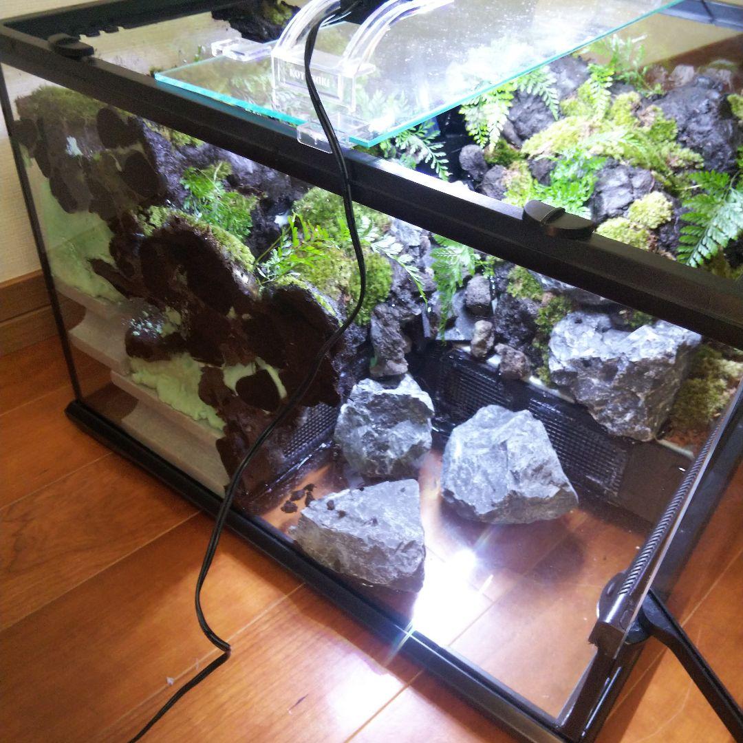 【受注生産】滝のあるアクアテラリウム　グラステラリウム 4530イモリウム