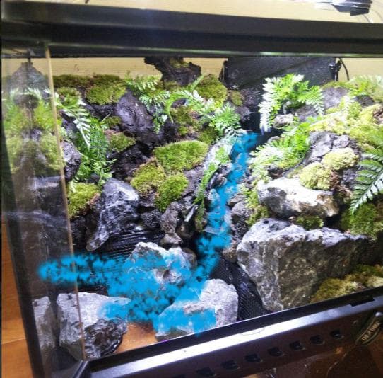 【受注生産】滝のあるアクアテラリウム　グラステラリウム 4530イモリウム