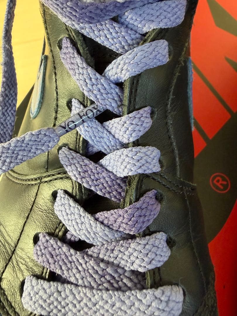 Nike Air Jordan 1 High （2016）11 29㎝