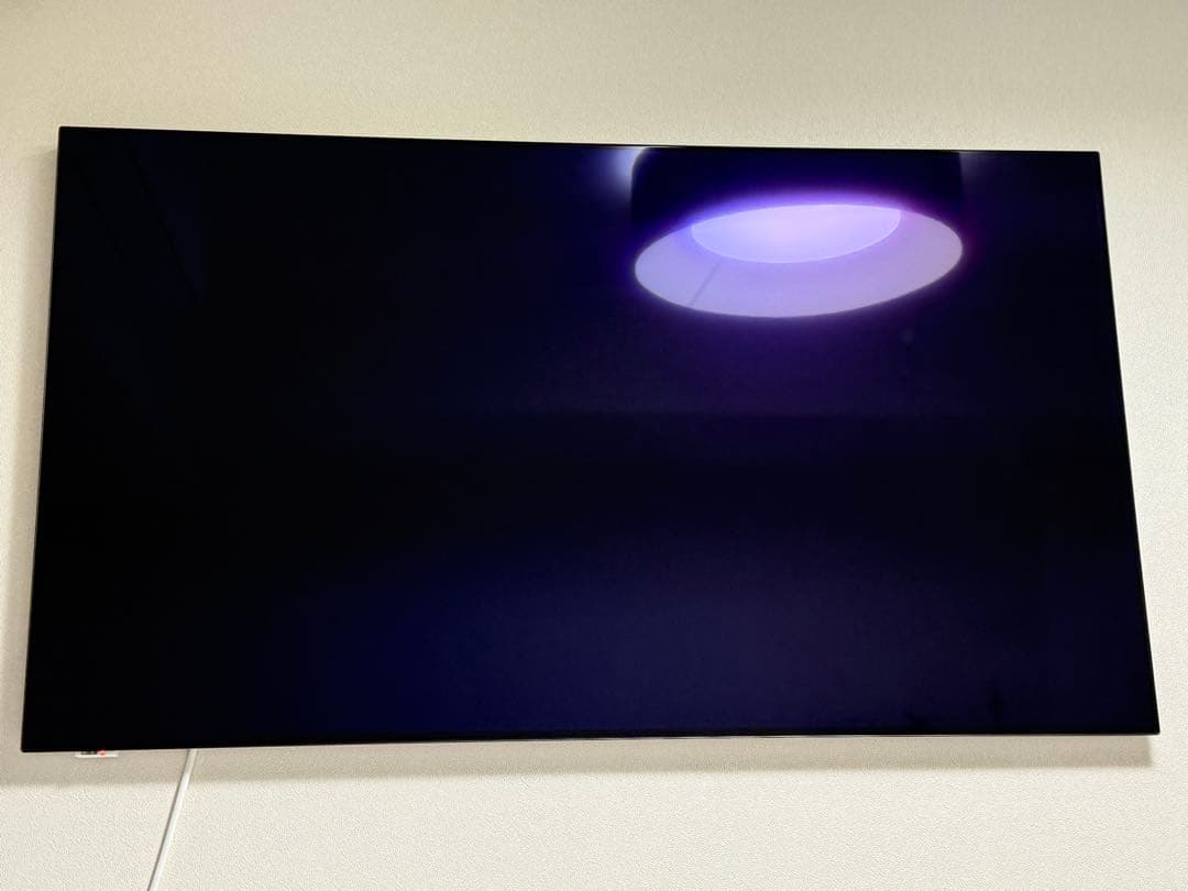 VIERA 55インチ 4K液晶テレビ TH-55LW1L