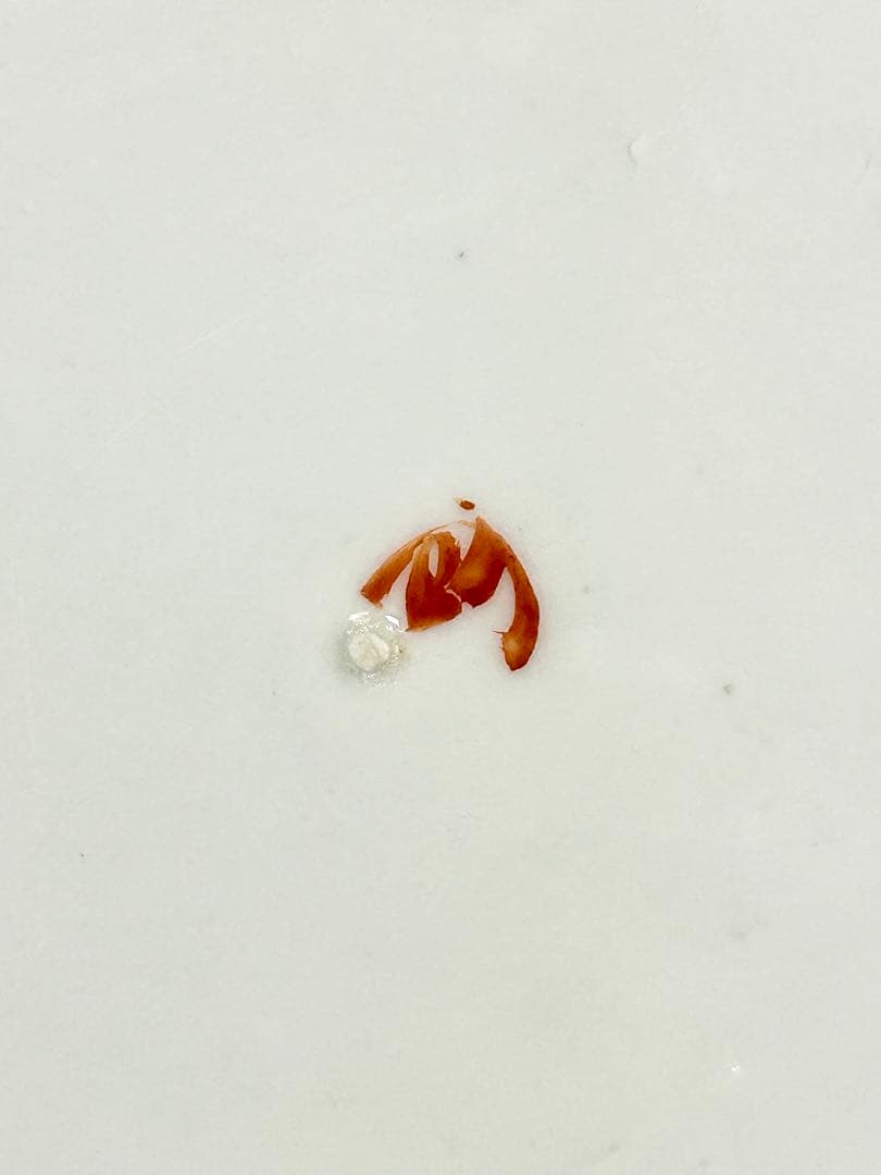 明治初期 香蘭社 染錦牡丹文団扇形皿 伊万里 有田