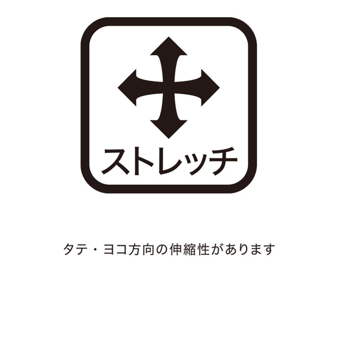 DESCENTE デサントゴルフ　レディース レインコート ホワイト　S