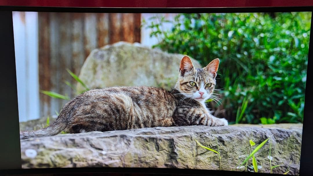 LG ゲーミングウルトラワイドモニター 34GK950F-B 34インチ