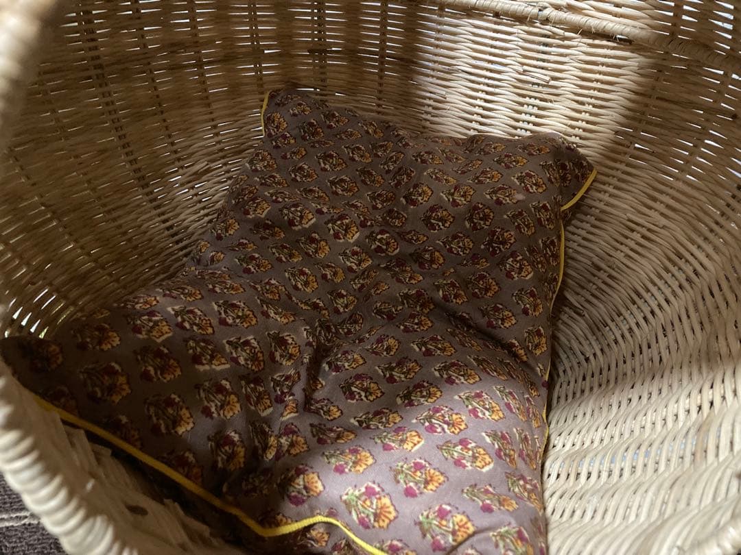 オルネコ　ガーリックネコハウス　ラタン　クッション付