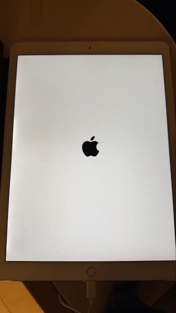 Apple iPad Pro 12.9インチ 第2世代 256GB Wi-Fi