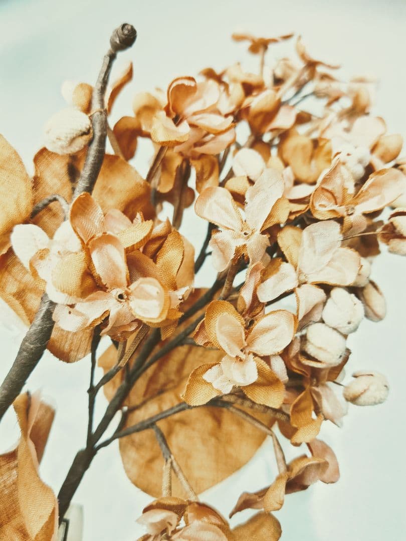 フランスアンティーク✨️大きな布花 ２点＋オマケ付き♡