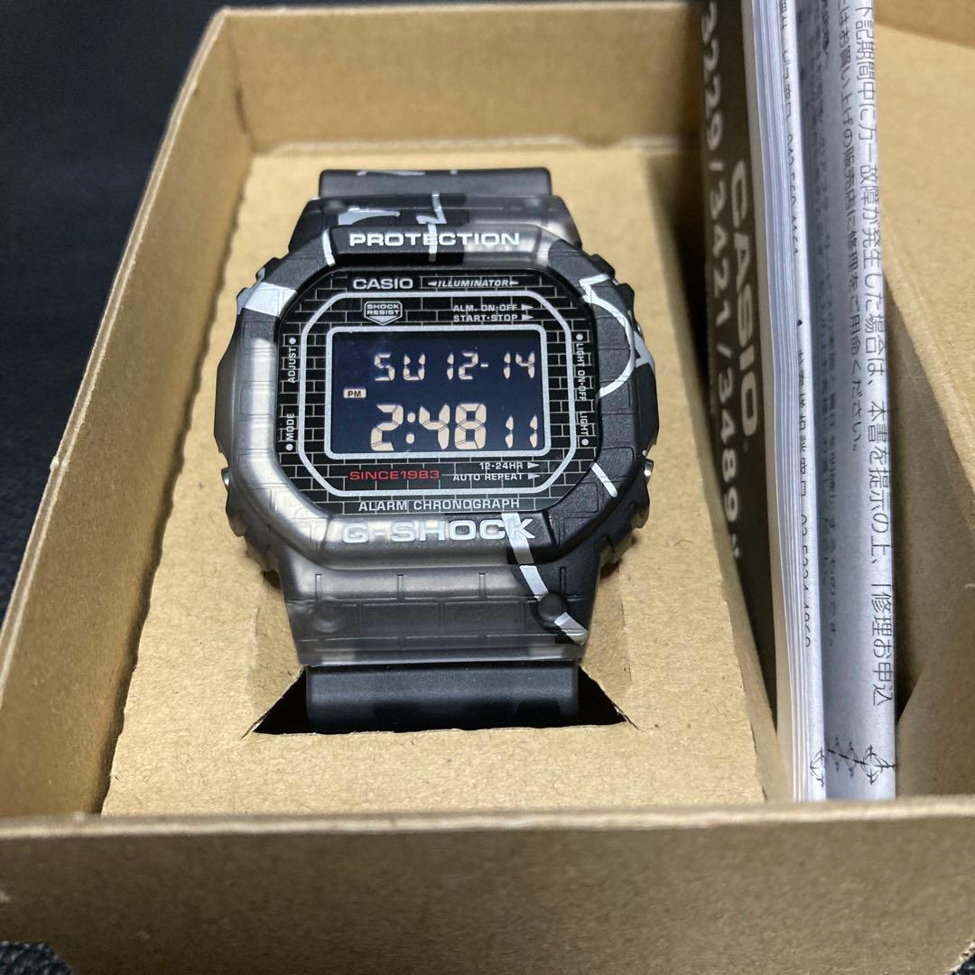 未使用 スクリューバック DW-5000SS-1JR CASIO G-SHOCK