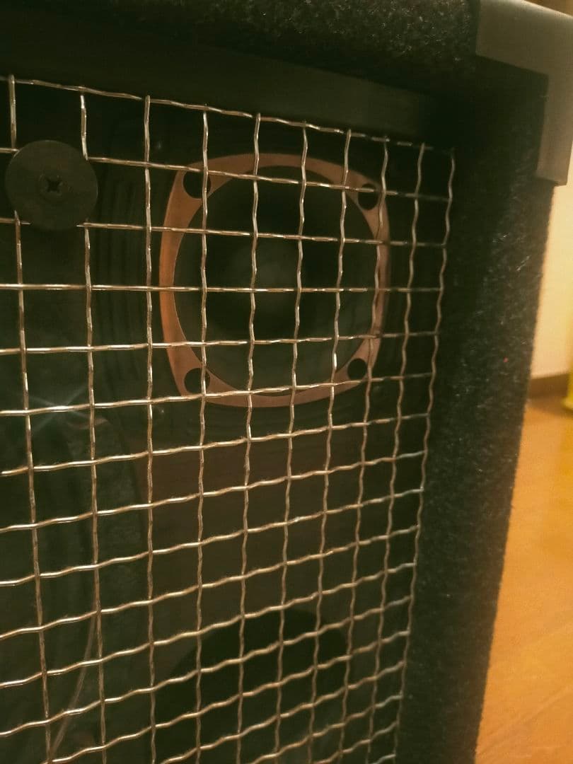 EBS NEO-112 ベース用キャビネット 楽器 動作確認済み 初期不良保証