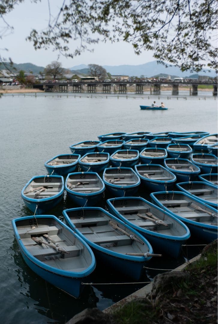 レンズ(単焦点) VOIGTLANDER NOKTON CLASSIC 35mmF1.4 MCVM