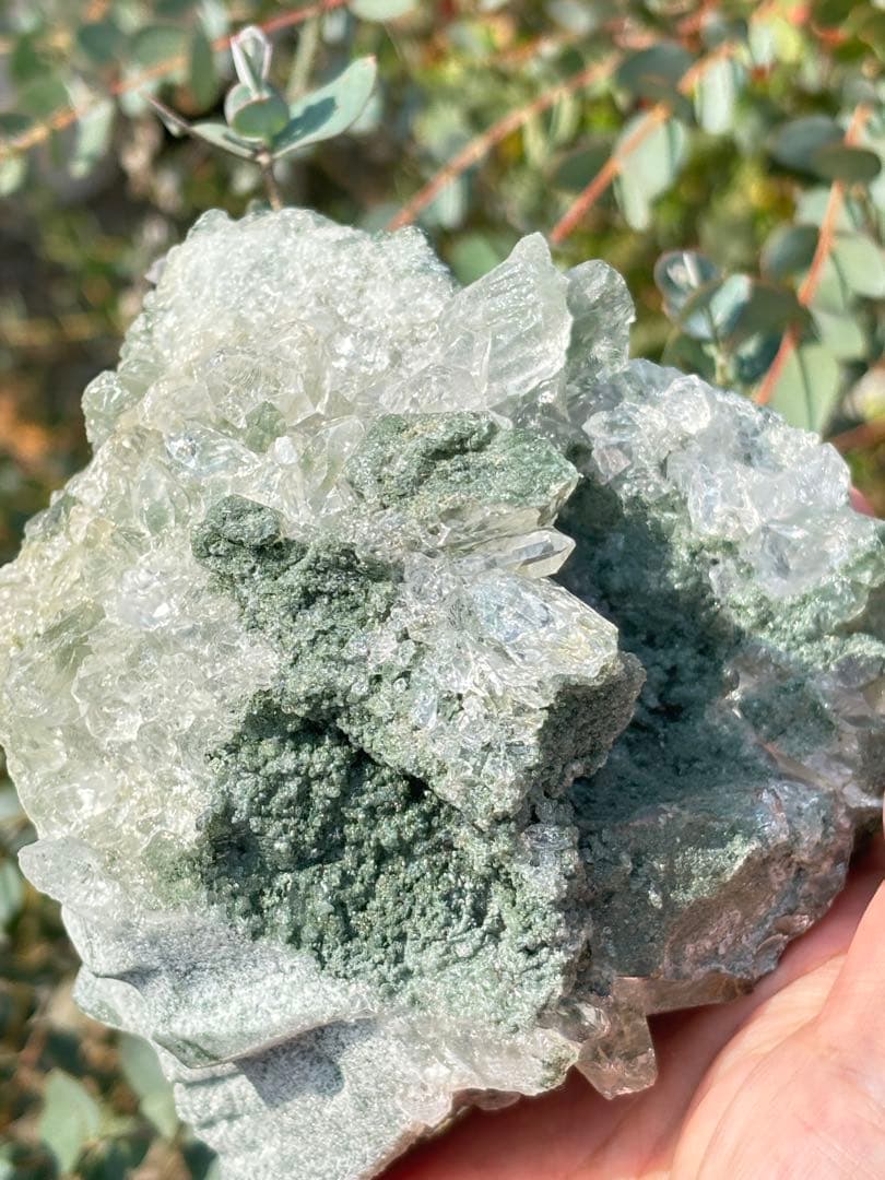 ヒマラヤ　ガネーシュ　クローライト　超高品質　スカル　ミュージアムグレード