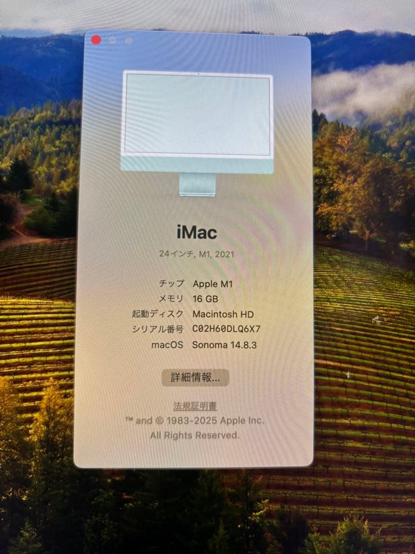 Apple iMac 24インチ M1 2021 16GB/1TB グリーン