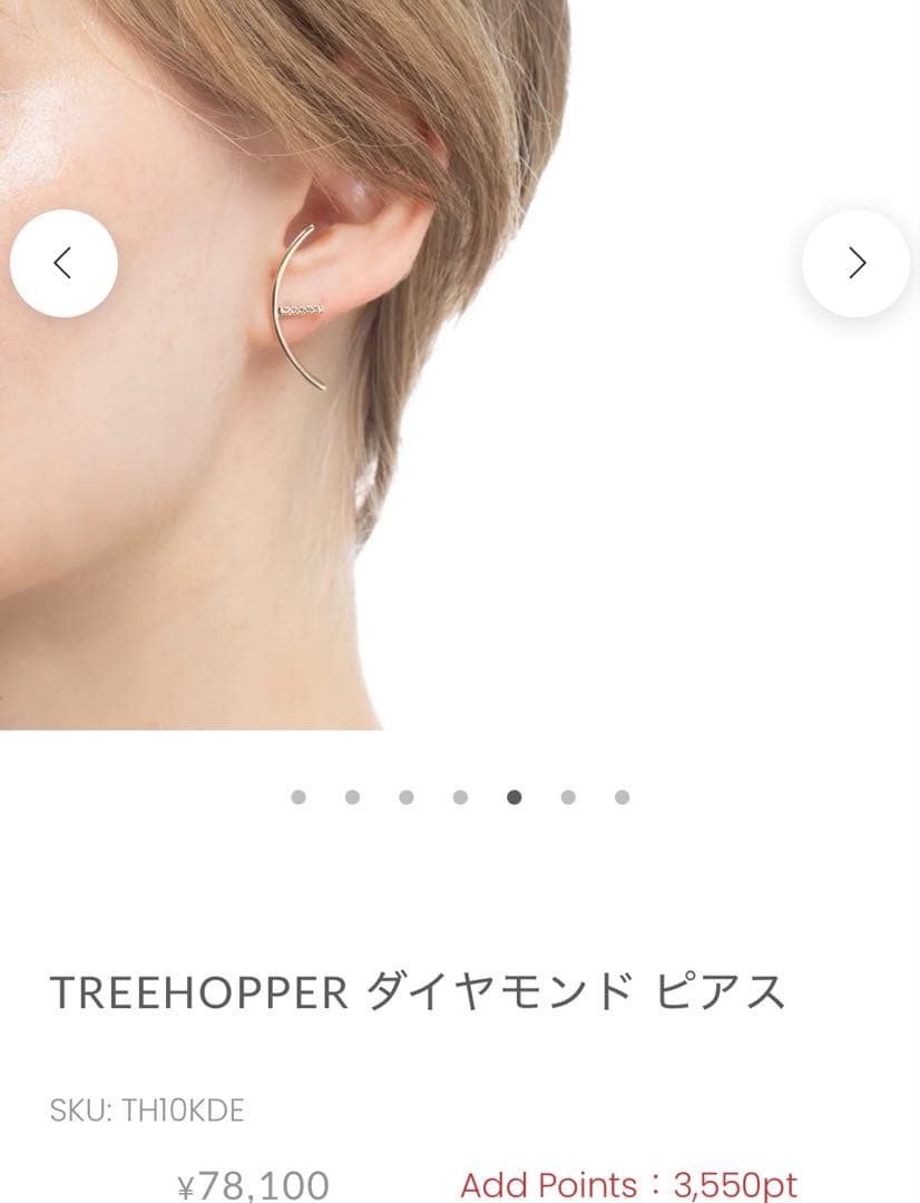 ヒロタカHirotaka Treehopper ダイヤモンド 片耳ピアス　美品