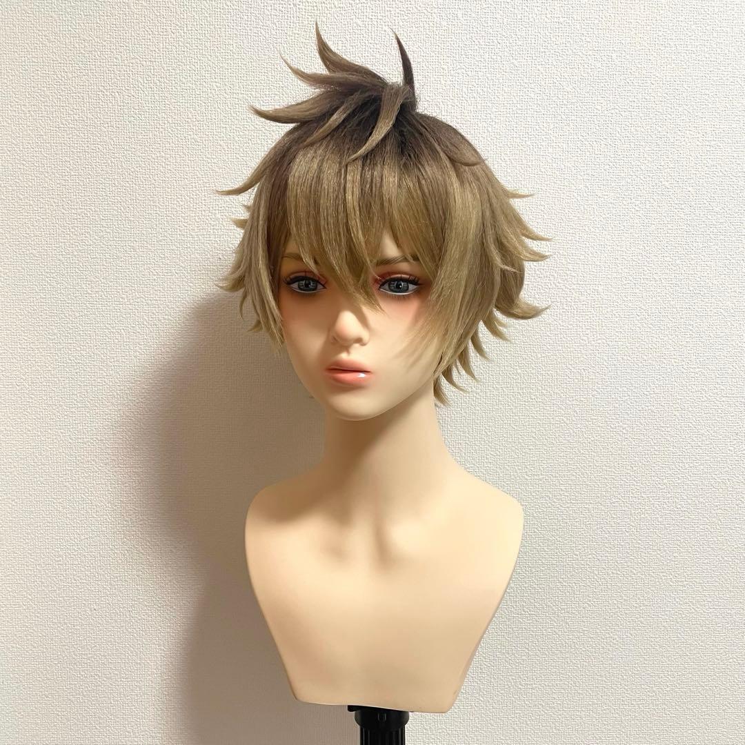 ツイステ　ラギー　ウィッグ